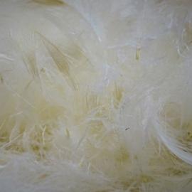 Relleno de pluma de oca