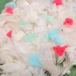 Relleno de pluma de oca