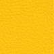 Yellow 80452