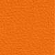 Orange 21830